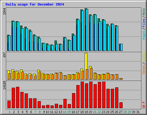 Daily usage for December 2024