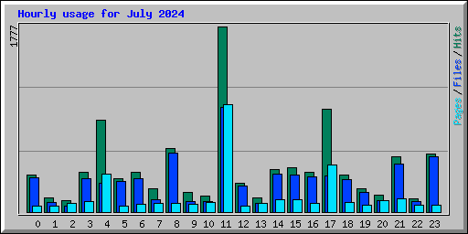 Hourly usage for July 2024