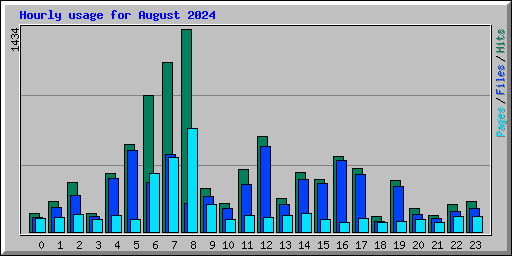 Hourly usage for August 2024