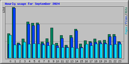 Hourly usage for September 2024