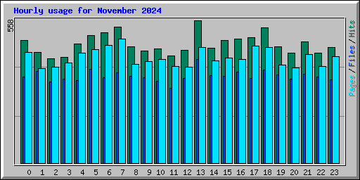 Hourly usage for November 2024