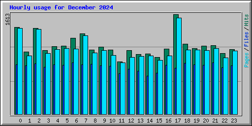 Hourly usage for December 2024