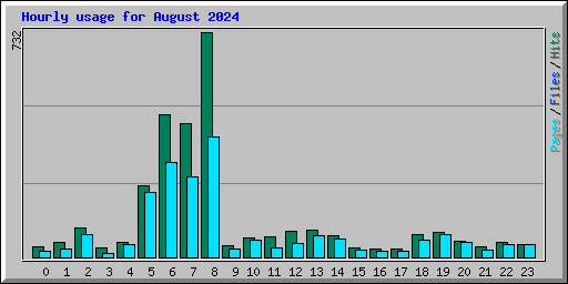 Hourly usage for August 2024